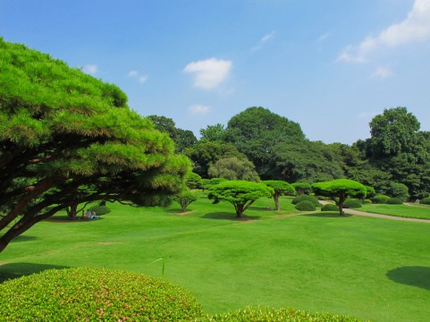 大田建築事務所