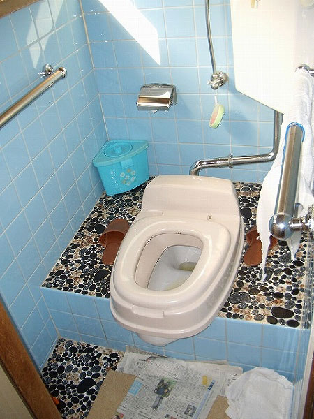 狭く、段差のあるトイレ