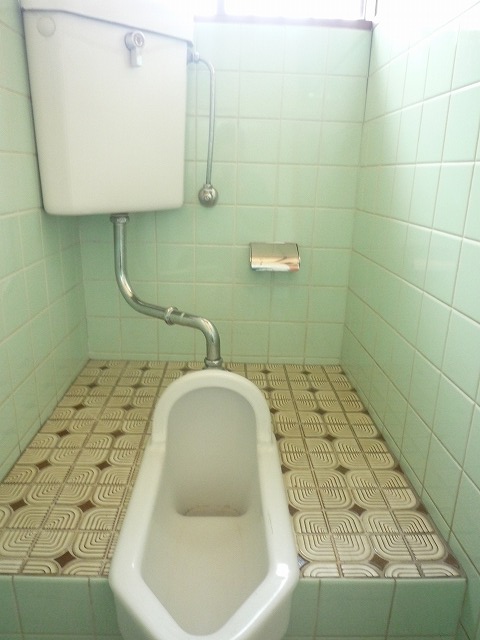 床はタイルで段差もある昔ながらのトイレでした。